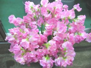 マメ科の花｜「花庄」　（大分県別府市の花キューピット加盟店 花屋）のブログ