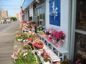 お待ちしています。｜「花庄」　（大分県別府市の花キューピット加盟店 花屋）のブログ
