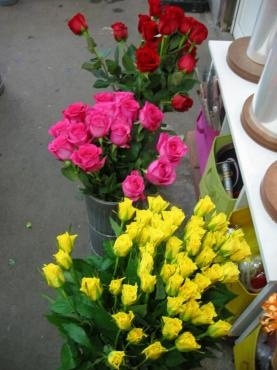 続々入荷！｜「花庄」　（大分県別府市の花キューピット加盟店 花屋）のブログ
