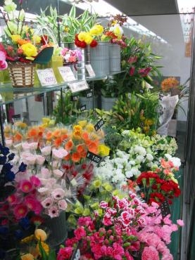 気づけば・・・｜「花庄」　（大分県別府市の花キューピット加盟店 花屋）のブログ
