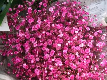色んな色の・・・｜「花庄」　（大分県別府市の花キューピット加盟店 花屋）のブログ