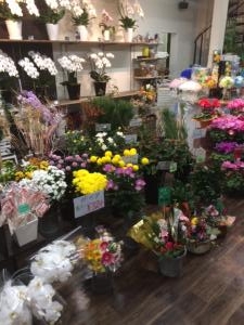 年末年始・・・｜「花庄」　（大分県別府市の花キューピット加盟店 花屋）のブログ