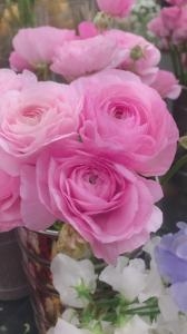 春の足音・・・｜「花庄」　（大分県別府市の花キューピット加盟店 花屋）のブログ