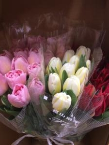 春の足音　第二段｜「花庄」　（大分県別府市の花キューピット加盟店 花屋）のブログ