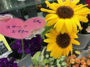 今度は・・・｜「花庄」　（大分県別府市の花キューピット加盟店 花屋）のブログ